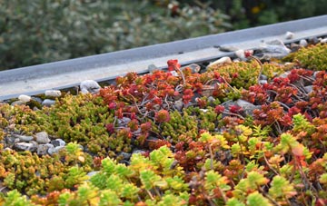the cost of Fishguard green roof installation